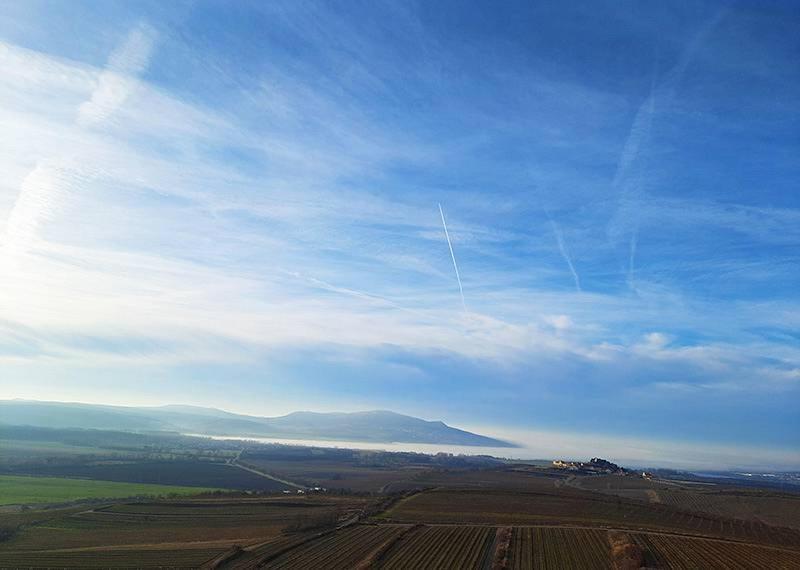 Penzion Sklep Vino Strycek Velké Bílovice Exteriér fotografie
